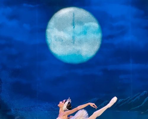 Royal Classical Ballet <br><span> Η λίμνη των κύκνων