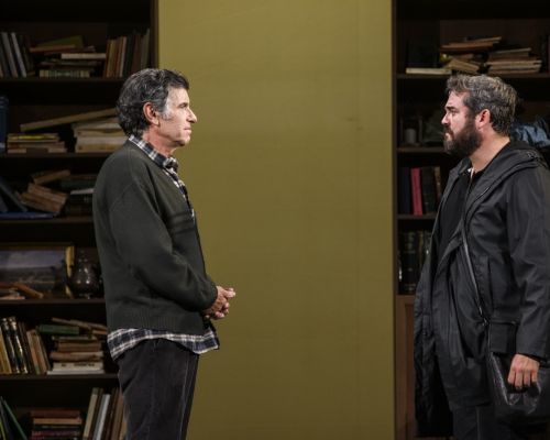 Έρικ Εμάνουελ Σμιτ <BR> <span>Αινιγματικές Παραλλαγές